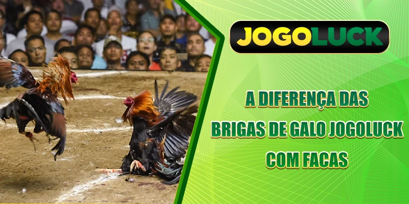 A diferença das brigas de galo JOGOLUCK com facas