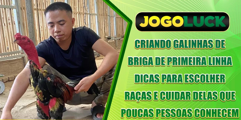 Criação de Galos de Briga – Dicas de Seleção de Raça e Cuidados Pouco Conhecidas