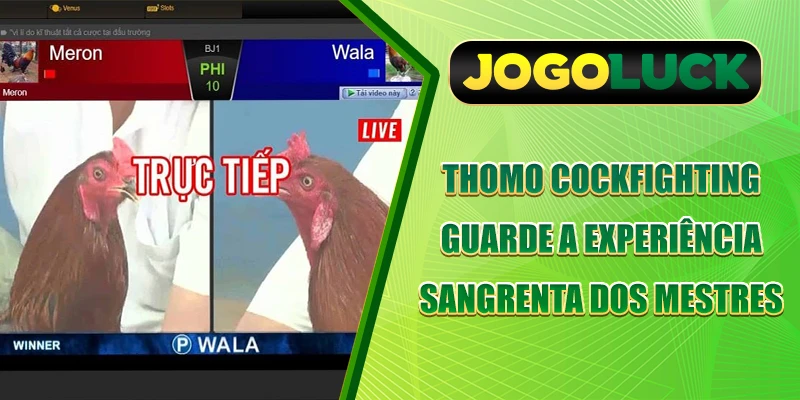 Thomo Cockfighting - Guarde A Experiência Sangrenta Dos Mestres